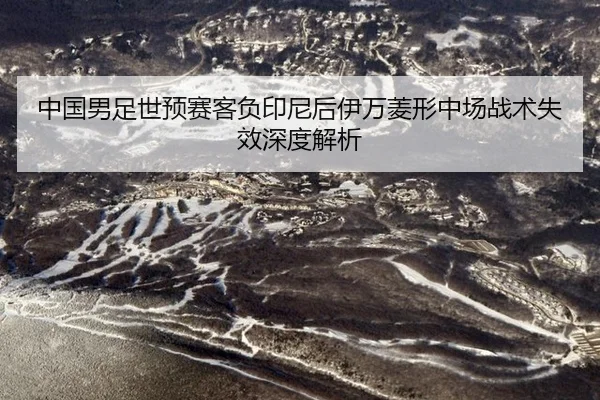 中国男足世预赛客负印尼后伊万菱形中场战术失效深度解析